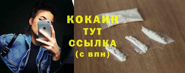 молекула духа Киреевск