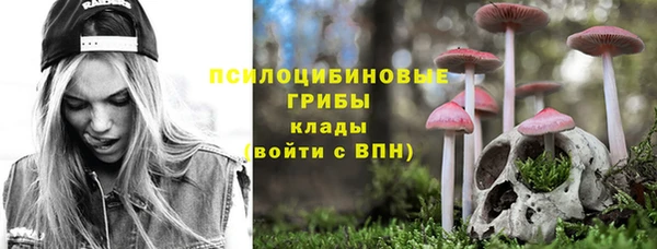 прущий лед Абаза