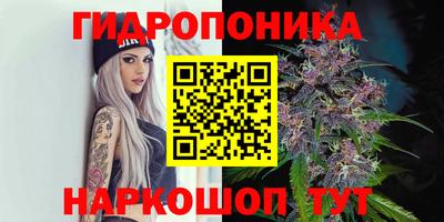 героин Сланцы