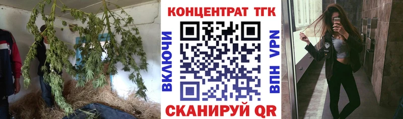 мега ССЫЛКА  Черемхово  Дистиллят ТГК THC oil 