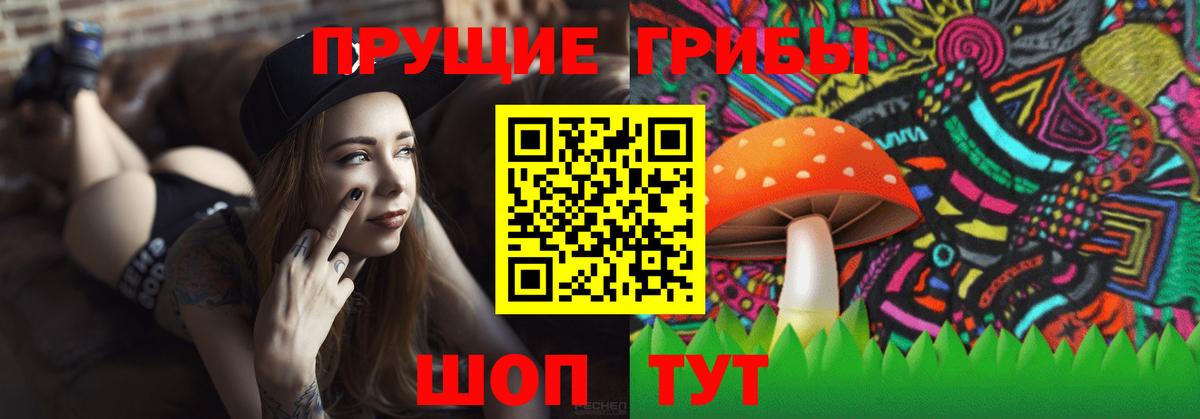 Псилоцибиновые грибы GOLDEN TEACHER Черемхово